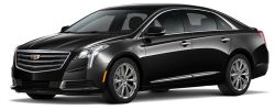 Luxury Sedan for Executive and Limo travel